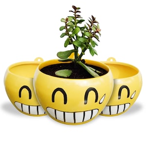 Succulent Plant Pot Emoji with Drainage Hole Anti-Rust Iron Metal Stand Plant Holder for Home Indoor and Outdoor Decor