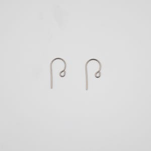 May include: Two silver earring hooks, each with a small loop at the top.