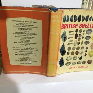 Könnte beinhalten: Ein aufgeschlagenes Buch mit dem Titel "British Shells" und einem gelben Einband mit Abbildungen verschiedener Muscheln. Das Buch gehört zur Reihe "The Wayside and Woodland Series" und hat links einen orangefarbenen Einband mit einer Liste weiterer Bücher.