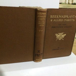 Op de afbeelding: Een open, antiek boek met een bruine kaft en gouden letters. De titel luidt: "Bees, Wasps, Ants & Allied Insects of the British Isles". Een gouden bij siert de kaft. De rug toont een bibliotheeknummer.