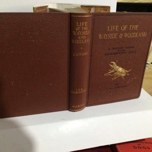 Könnte beinhalten: Ein offenes, antikes Buch mit dem Titel "Life of the Wayside and Woodland" mit braunem Einband und goldener Schrift. Das Buch wird mit seinem sichtbaren Buchrücken präsentiert, der den Titel und den Autor zeigt. Das Cover zeigt eine Insektenillustration.
