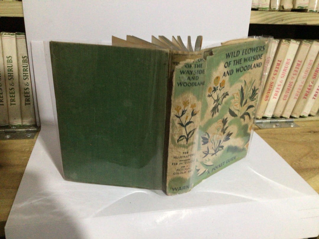 Wild Flowers of the Wayside & Woodland 1936 - Etsy