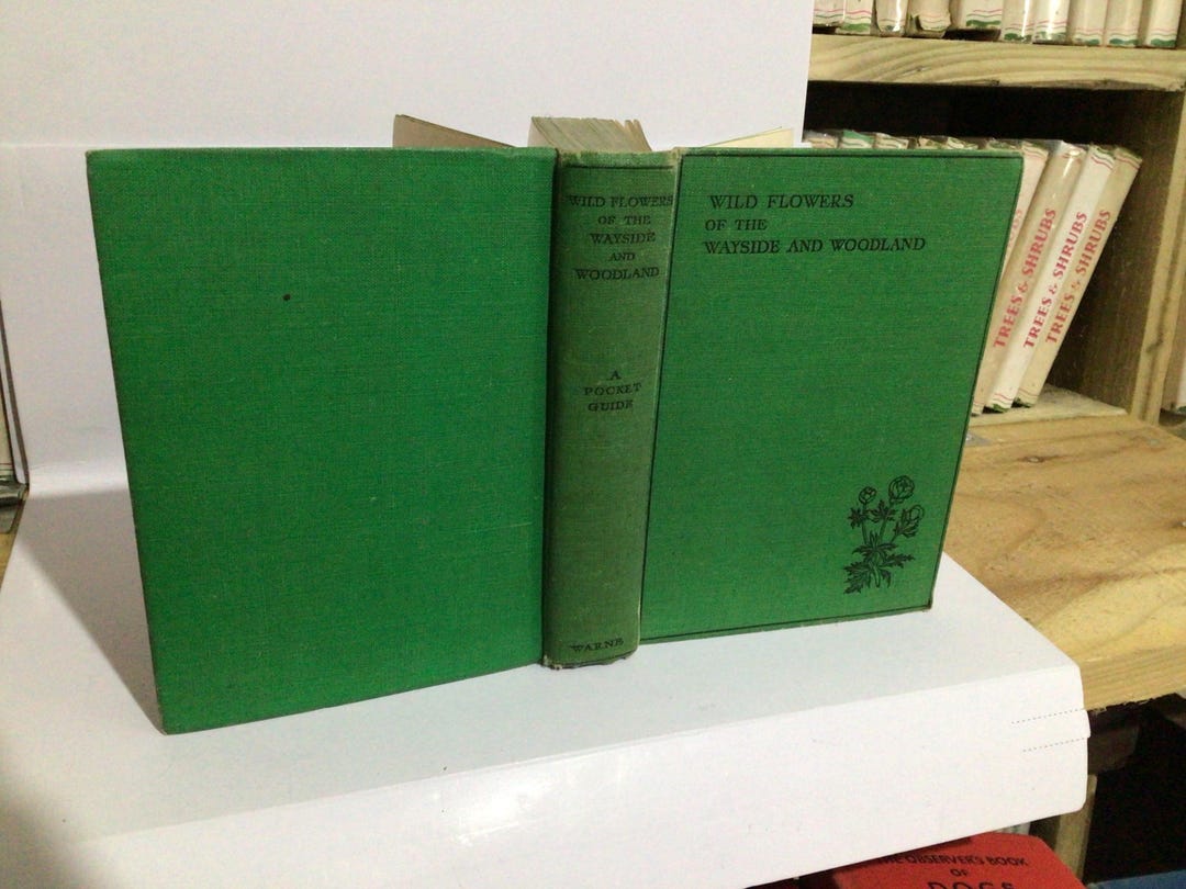 Wild Flowers of the Wayside & Woodland 1955 - Etsy