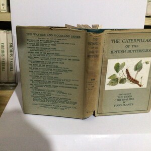 Op de afbeelding: Een open vintage boek getiteld "The Caterpillars of the British Butterflies" met een illustratie van een rups. Het boek maakt deel uit van de "Wayside and Woodland Series".