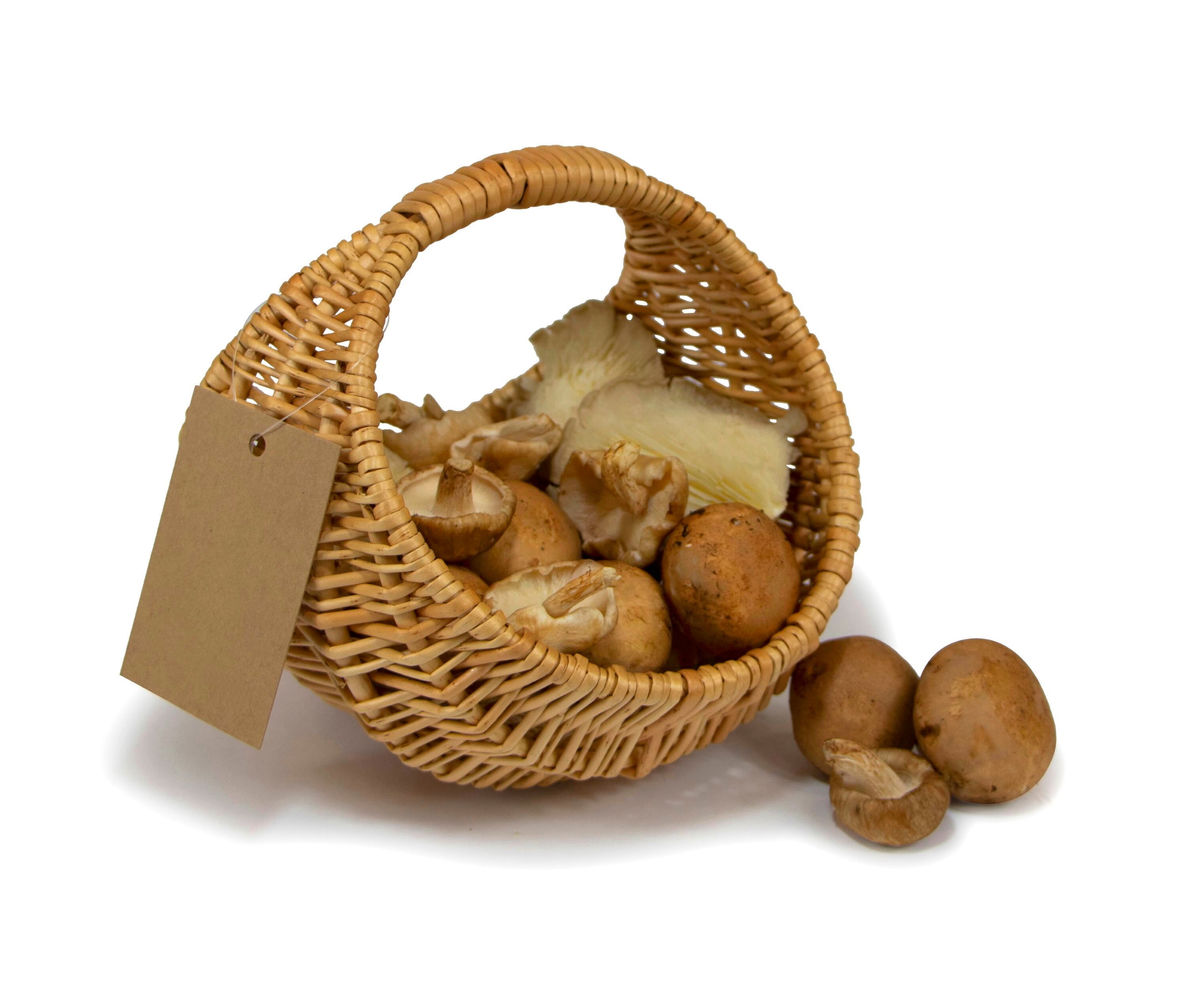 Egg Collecting Basket Buff Natural Willow Basket Mushroom Etsy UK