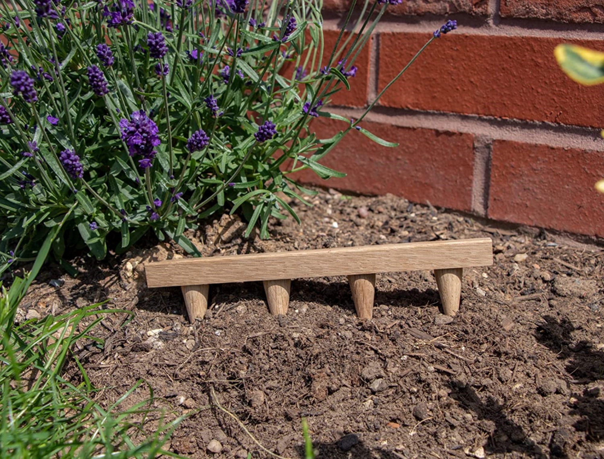 Seed Tray Dibber and Tamper Planter Tool 5cm Spacing Gardeners Etsy UK