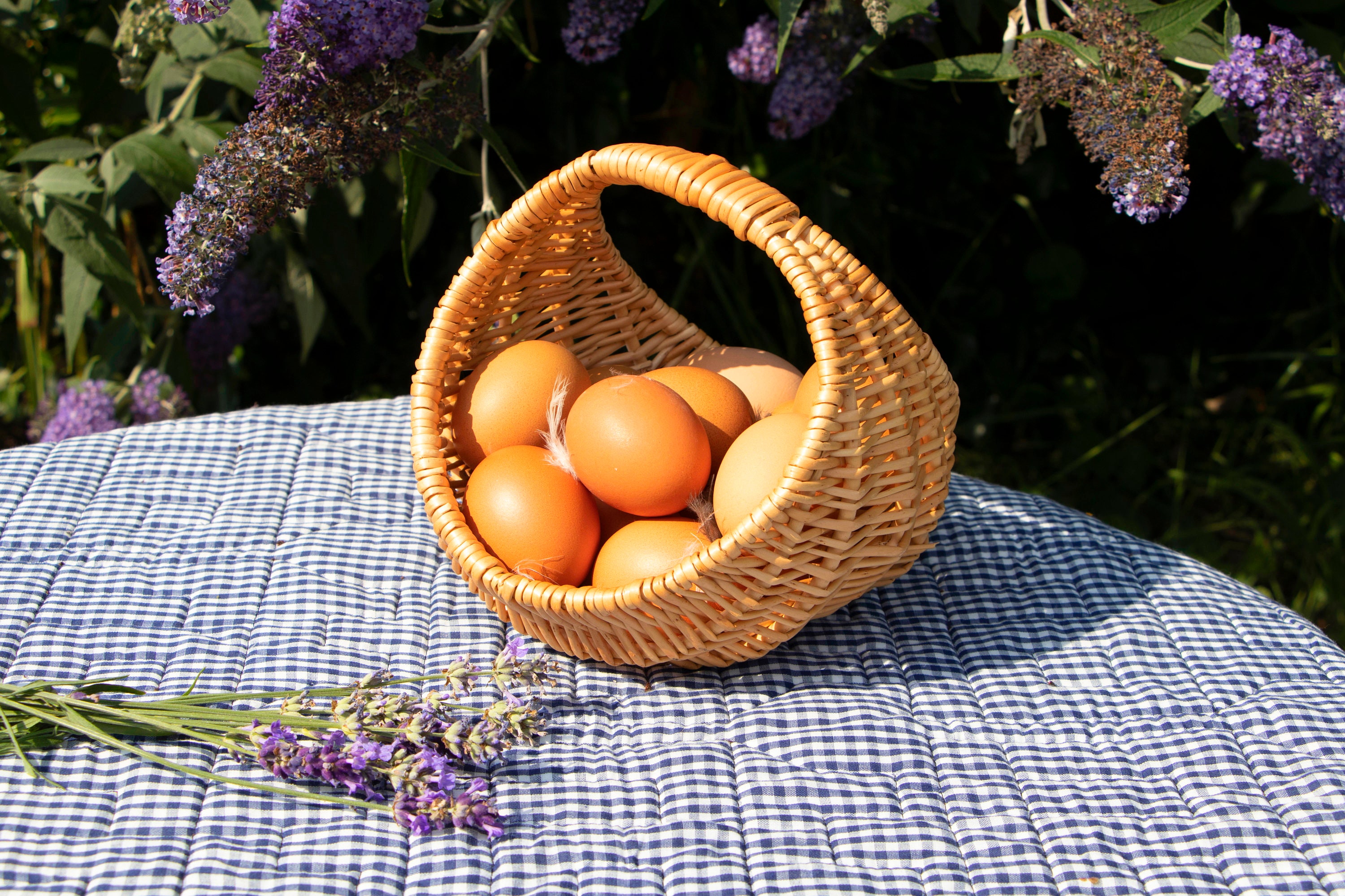 Egg Collecting Basket Buff Natural Willow Basket Mushroom Etsy UK