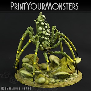 Dancing Toadstool Spider | 3d Printed Miniature for Painting, Tabletop Game, DnD, Pathfinder | PrintYourMonster