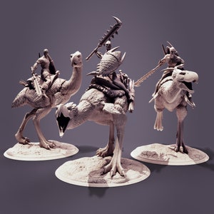 Può includere: Tre figure in miniatura che cavalcano creature simili a uccelli. Le figure tengono armi e indossano armature. Le creature hanno gambe lunghe e becchi. Le figure sono su uno sfondo grigio.