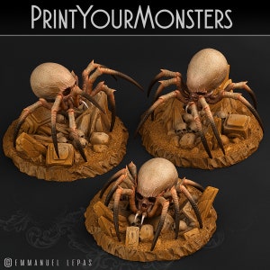 Skullcap Hermit Spiders 3 Versions | 3d Printed Miniature for Painting, Tabletop Game, DnD, Pathfinder | PrintYourMonster