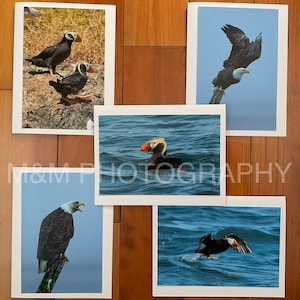 Cartes de voeux photo - Collection d'oiseaux d'Alaska faits à la main