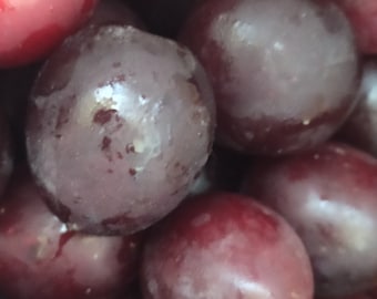Cherry Plum Nigra seeds