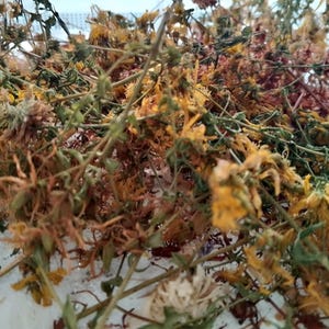 May include: A close-up shot of dried herbs, displaying a mix of yellow, brown, and green tones. The image features a collection of dried flowers and stems, highlighting the natural textures and colours. The herbs appear ready for use.