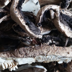 Champignons sauvages séchés biologiques Boho Forest