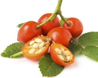 Rosehip seeds rosa canina rugosa mosqueta