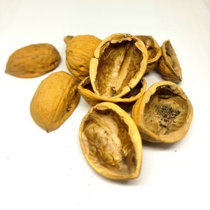 WALNUTS HALVES