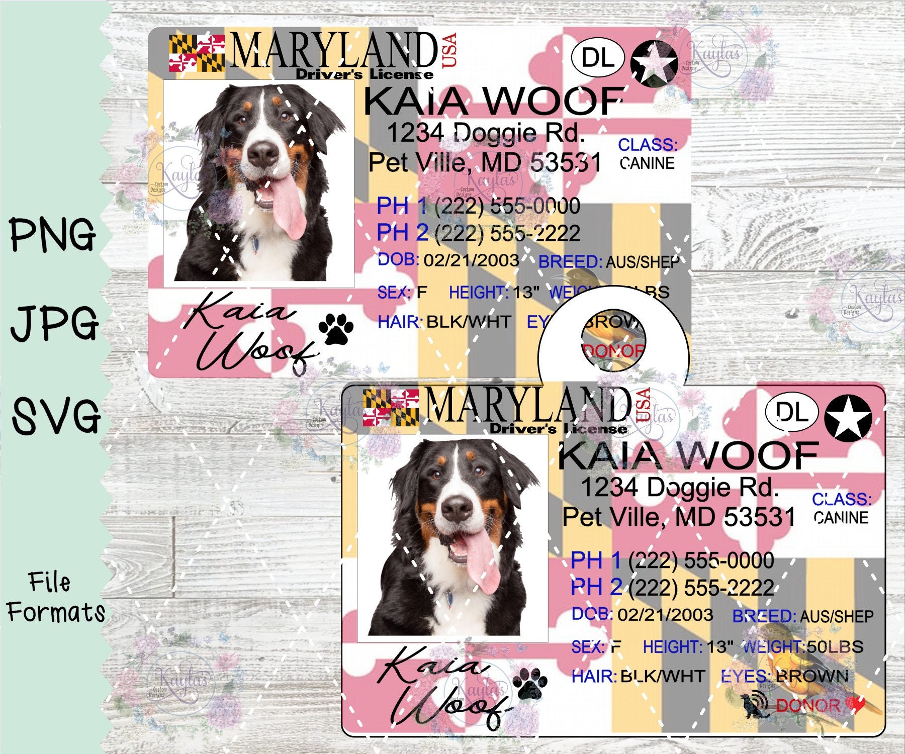 Does Maryland Require A Dog License