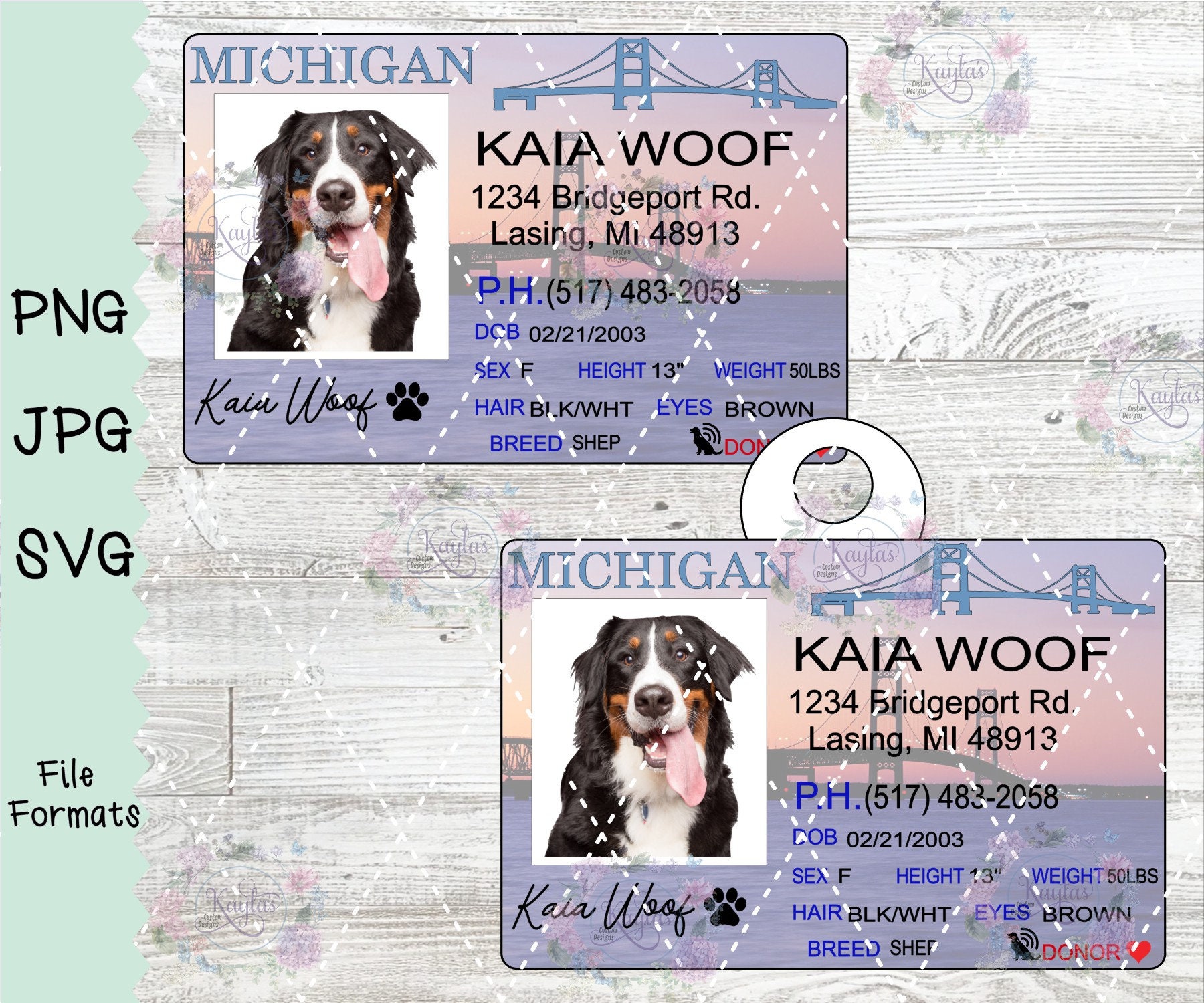 Lake County Dog License 69 - hvm91uy