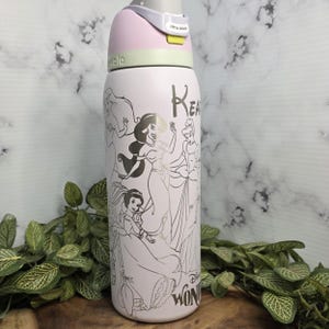 Princess Engraved Owala Tumbler, Fairytale Water Bottle, Laser Engraved Fantasy Character Cup imagem 2