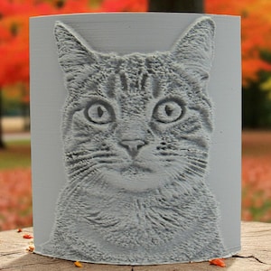 May include: A gray, rectangular block with a detailed, embossed portrait of a cat's face. The cat's features, including eyes, nose, and fur, are intricately rendered. The block is set on a wooden surface, with a blurred autumn background.