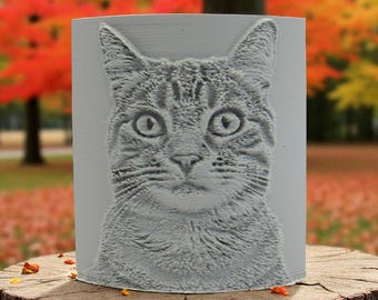 Clay Pottery Stamp with Tabby Cat Texture Image Close Up