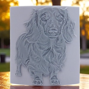 May include: A rectangular, light gray relief sculpture of a long-haired dachshund dog. The dog is depicted in a detailed, three-dimensional style, with its fur and features carefully rendered. The sculpture is set against a soft, blurred background.