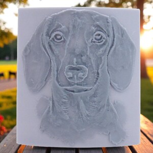 May include: A square, light gray relief sculpture of a Dachshund dog's face. The dog's features are detailed, with large, floppy ears and a gentle expression. The sculpture is set against a blurred outdoor background.