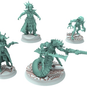 Dark city - Raider King Leader Court Dark eldar drow
