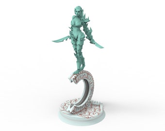 Dark city - Queen of the Arena, Dark Eldar Drow