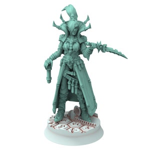 Dark city - Venom master Dark Elf Raider King court, Dark eldar drow