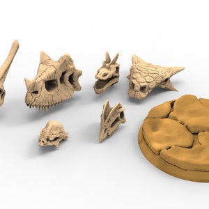 Lots of dino skulls base decoration usable for Oldhammer, warmachine, infinity, zombicide, scifi wargame...