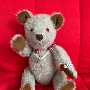 Teddybär Urs Bild 1