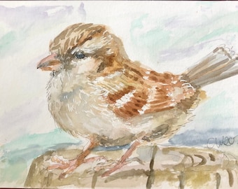 Originalaquarell "Kleiner Spatz"