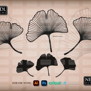 Arquivo de corte digital de ginkgo (gingko) | estêncil de folha floral arte vetorial silhueta cricut lightburn svg eps dxf png pdf jpeg | download instantâneo