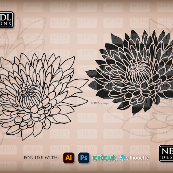 Chrysanthemum digital cut file | floral flower stencil vectored art cricut silhouette svg lightburn eps dxf png pdf jpeg | instant download