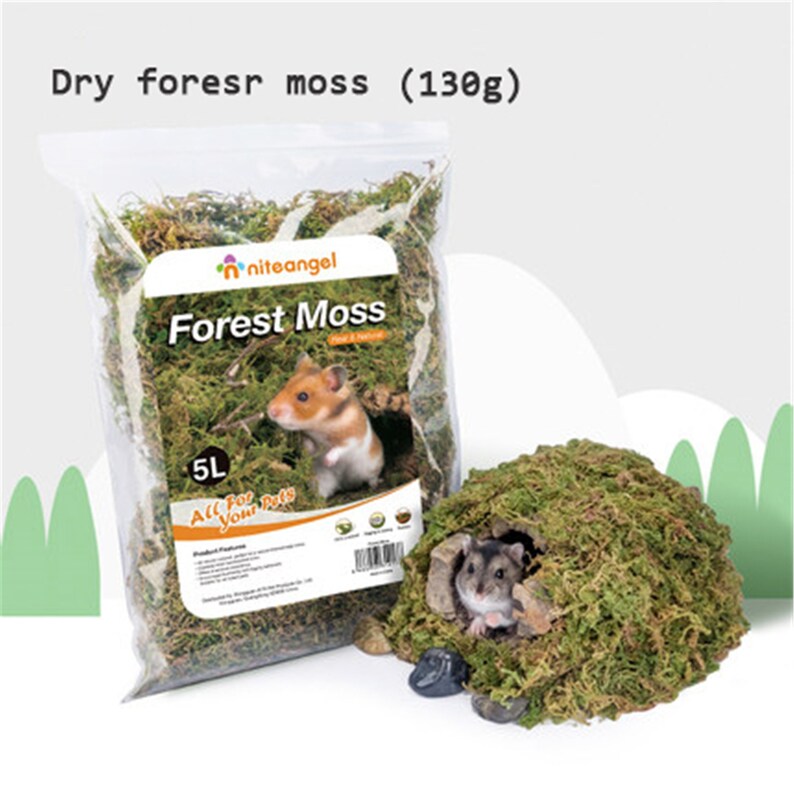 Hamster Cage Decor Dry Forest Moss for Small Pets Small Etsy