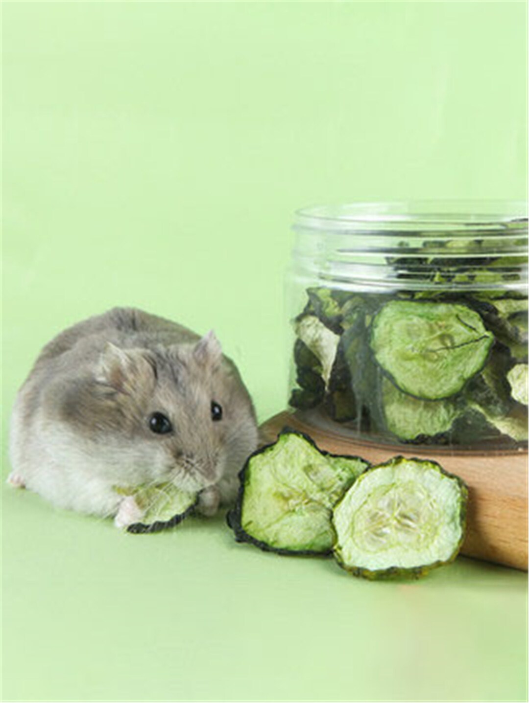 Dried Cucumber,dried Vegetables,hamster Chew Food,golden Hamster,guinea