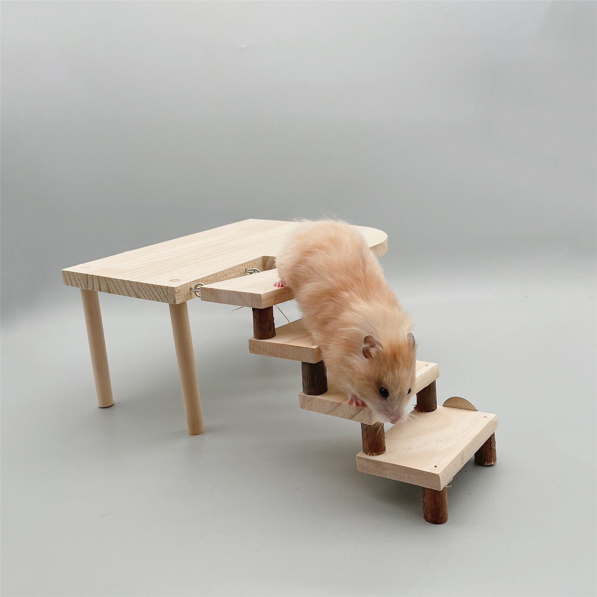 Diy hamster best sale platform
