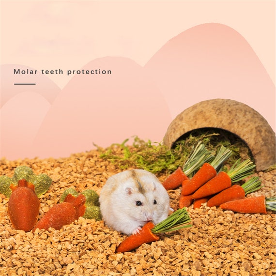 Hamster chew cheap