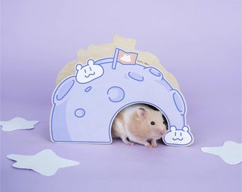 The Moon Patterned Hand Painted hideout,hamster playing,hamster cage supplies,for small pet sugar glider guinea pig hedgehog rat