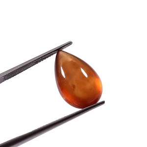 May include: A polished, teardrop-shaped gemstone, held by tweezers against a white background. The gem is a warm, translucent amber color with a glossy surface, reflecting light. The tweezers are dark gray.