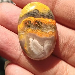 1個 - AAA天然ジャスパー宝石カボションセール - 45カートと32 * 22 * 8 MM