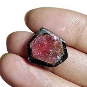 15 カート - 非常に美しいダブルカラー天然スイカトルマリンスライス - 18*17*4 mm - #992