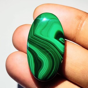 53.45 カート - 天然楕円形マラカイト宝石カボション販売 - 31*16*4 mm - #292