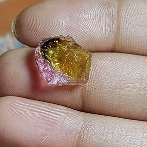 6.90 カート - 非常に美しいダブルカラー天然スイカトルマリンスライス - 15*12*3 mm - SKU 880