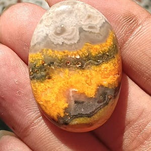 素晴らしい - 55カートAAA天然マルチカラージャスパー宝石カボション販売 - 35 * 25 * 8 MM - 非常に美しい宝石
