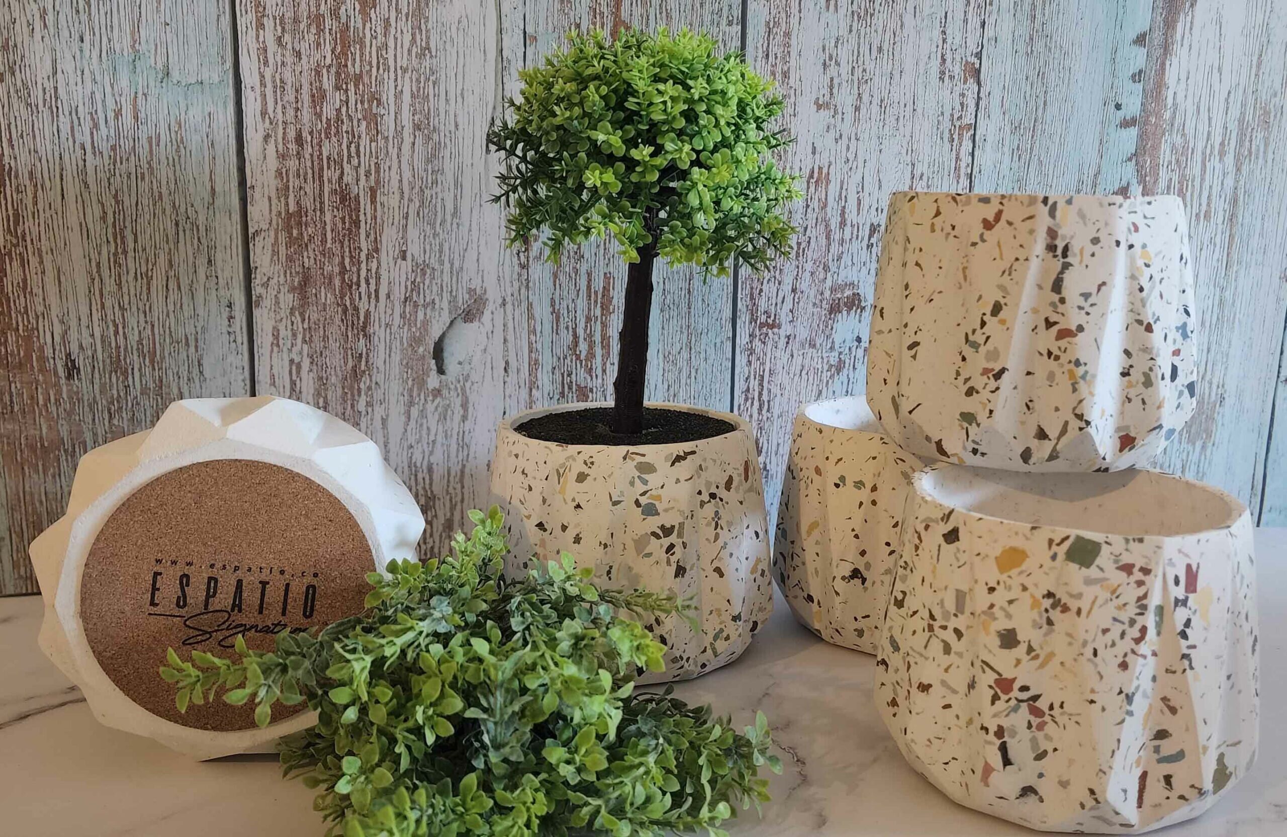 Pot De Plantes En Terrazzo