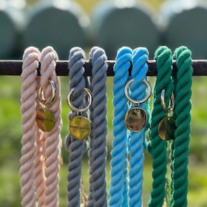May include: Five colourful rope dog leads with gold metal tags that say "BAMB&BEAU" hanging on a metal fence. The leads are pink, grey, blue, and green.