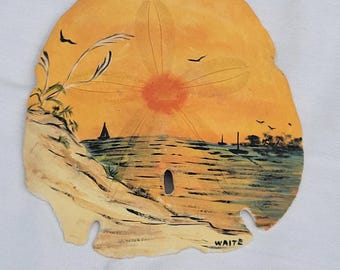 Sunset Hand Painted Sand Dollar Decor Beach Shells AS-IS