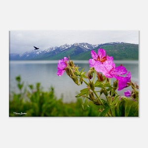 Kosmische Wildblumen mit Blick auf den Jackson Lake im Teton National Park | 12 x 18 Leinwanddruck mit Rahmen